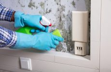 How to clean mold: the fight against the insidious enemy